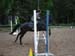 clearround_loppan_1
