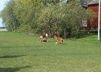 PIC_0017