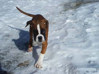 010tyra_16veckor