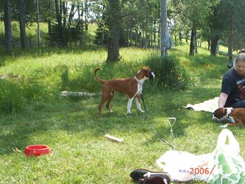 018tyra_6manader_