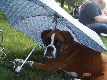 019tyra_6_manader