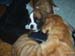 002Tyra_sex_veckor
