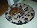004Tyra_8veckor