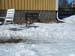 009tyra_16_veckor