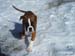 010tyra_16veckor