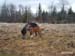 012tyra_4manader