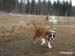 013tyra_4_manader
