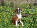 017tyra_5_manader