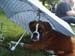 019tyra_6_manader