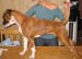 028tyra_10manader