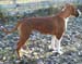 029tyra_10_manader
