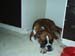 030tyra_10_manader