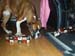 033tyra_12manader