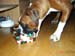 034tyra_12_mander