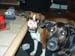 035tyra_12_manader